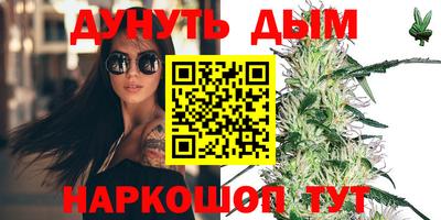 молекула духа Будённовск